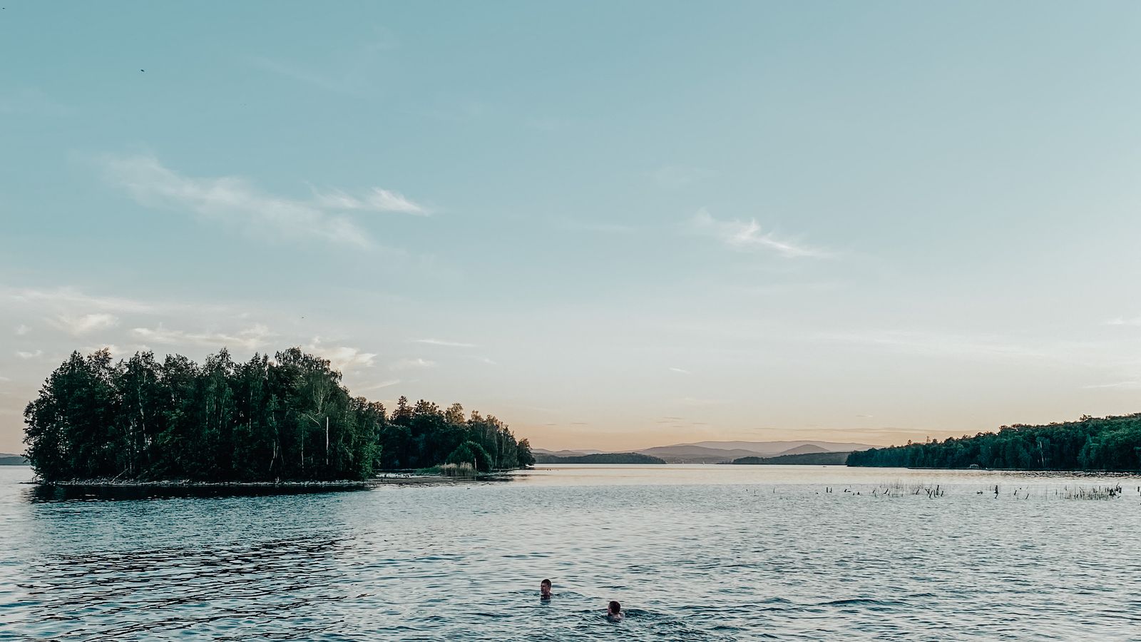 People swimming in a calm lake near a wooded shore on a bright day