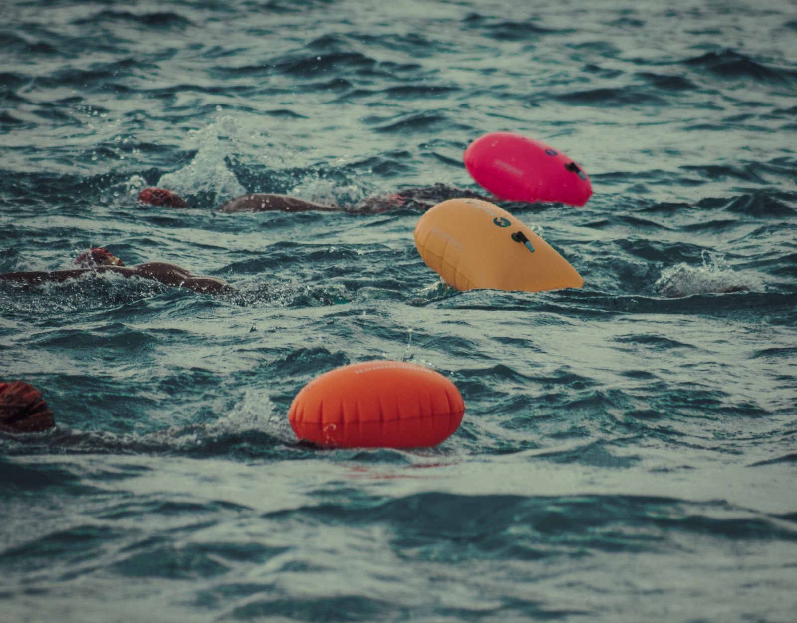 Open-water swimmers towing bright pink and orange tow floats